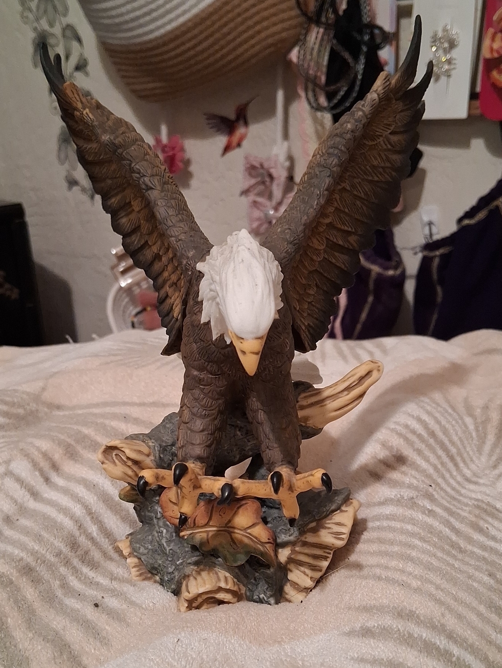 Bald Eagle